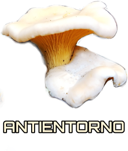 antientorno.com,  el temps i els bolets